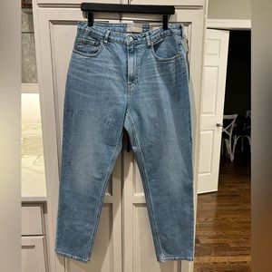 Everlane High Rise Curvy Cheeky Jean